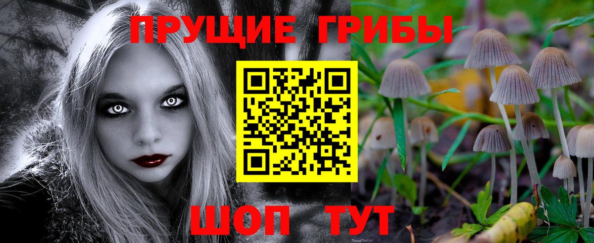 Серпухов  Галлюциногенные грибы Psilocybe  Вход с VPN 